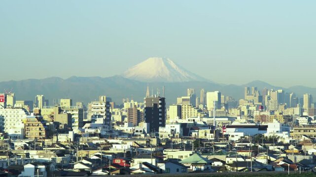 市川市里見公園から見た富士山
