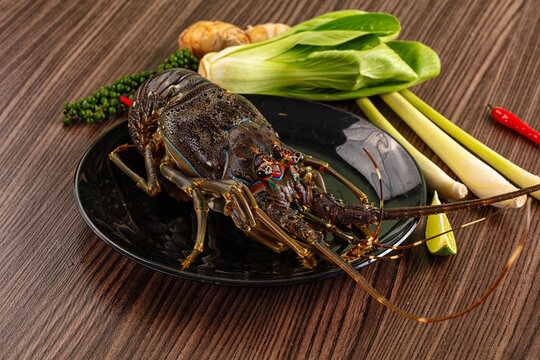 Raw fresh lobster for bowl