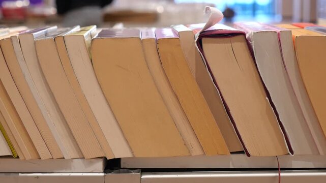 Row of colorful books lined up on library shelf for reading and learning in educational setting