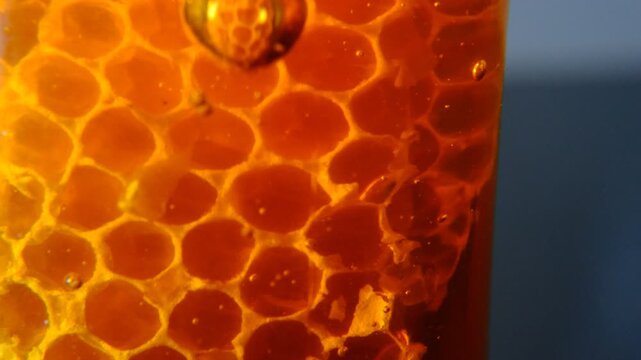 Close up super macro shot scene golden honey liquid bubbles in glass ,honey comb macro product studio shot with the bubble fluid texture