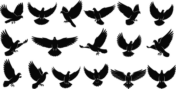 Flying bird silhouettes set featuring pigeons and doves in various wing positions isolated in elegant black vector illustration