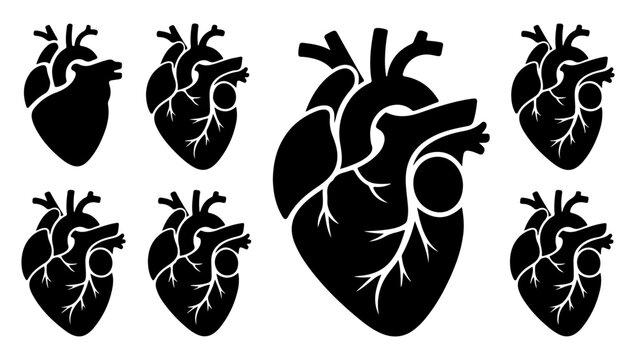 Anatomical hearts in black silhouette a collection of varying heart designs