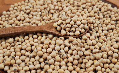 Obraz premium Soybeans in a wooden spoon on plate.
