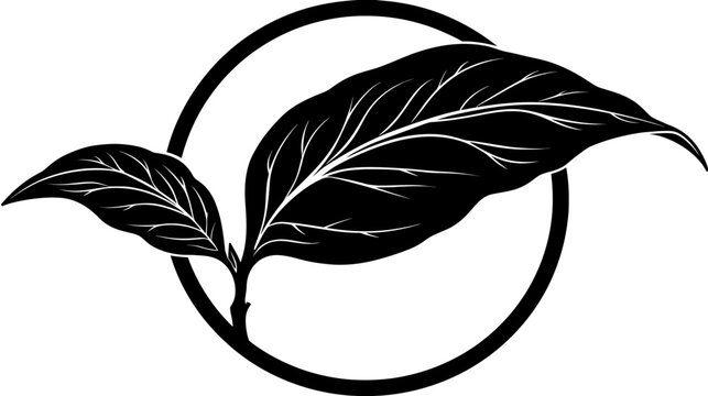 Black and white graphic shows two leaves nestled in a ring