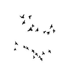 Fototapeta premium Flying Birds Silhouette Flock Freedom Nature Vector Isolated on White Background