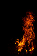 Fototapeta premium Night campfire burning in darkness copy space espacio para texto