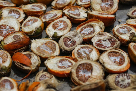 Acrea Nuts