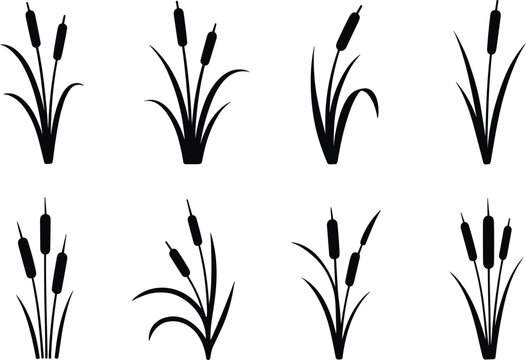 Silhouette illustration of cattail plants in varied styles, showcasing wetland flora, botanical design, natural vegetation, and decorative plant elements for stock use.