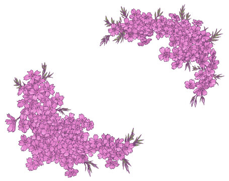 芝桜のフレーム素材