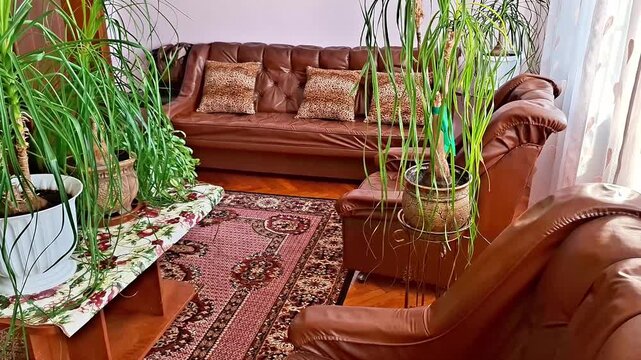 Cozy living room with brown leather sofa, armchair, and ottoman, patterned rug, wooden table with potted plants, and natural light creating a warm, inviting atmosphere