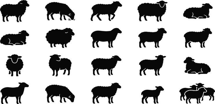 Collection of Silhouettes of Sheep in Various Poses and Activities, Depicting Farm Animals in Black and White