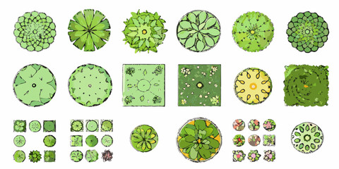 A collection of top down views of various trees and shrubs © Milton