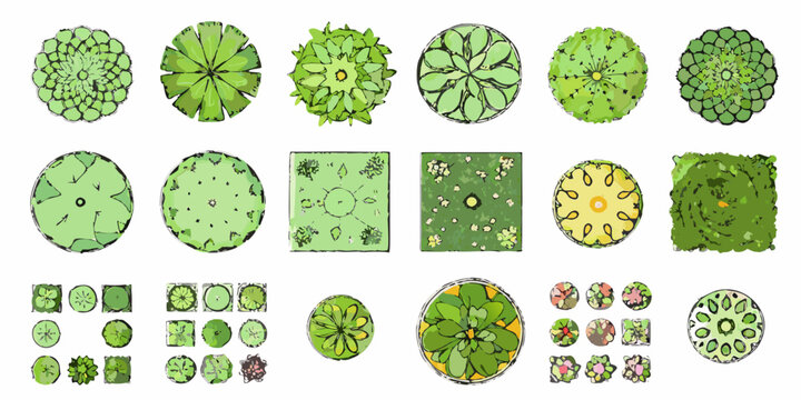 A collection of top down views of various trees and shrubs