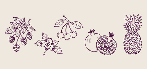 Fruits and pomegranate doodle set, healthy organic food hand drawn, berry and cherry sketches collection, fresh fruit icons for menu design, kitchen cooking ingredients line art, pomegranate and berry © Geetaroy