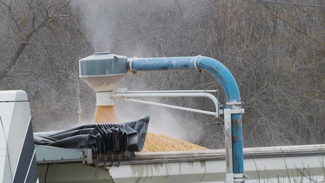 Mechanized corn loading into trailer agricultural harvest process