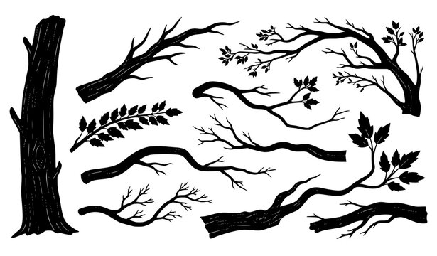 Tree Bough and Twisted Branch Collection Rustic Nature Vector Elements