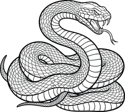 Detailed Illustration of a Coiled Viper Snake Ready to Strike.