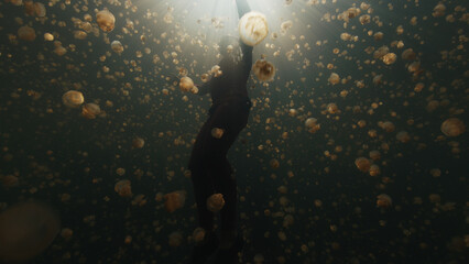 Jellyfish freediving. Freediver swims underwater with jellyfish in the lake in Papua, Indonesia © Dudarev Mikhail