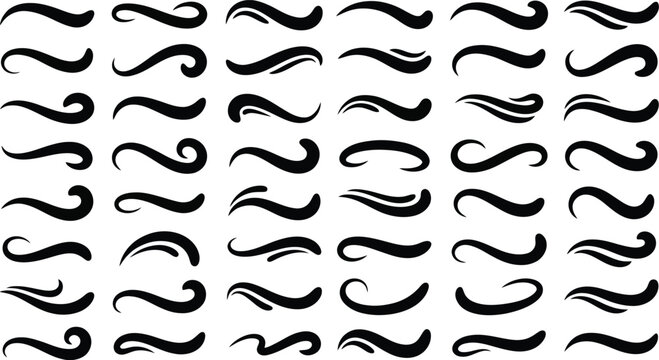 Collection of Black Swirls and Flourishes on White Background swoops