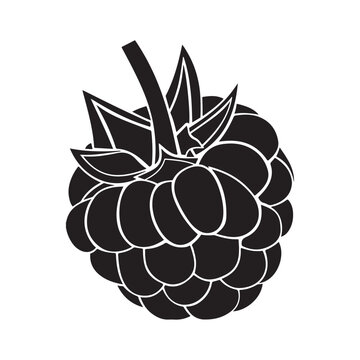 Black and white silhouette of a raspberry with stem and leaves.
