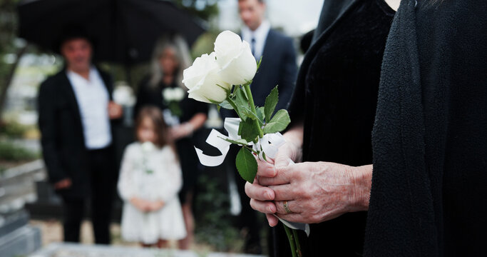 Funeral, rose and old woman in cemetery with hands, family grief and burial ceremony for final goodbye. Elderly person, flower and people in graveyard outdoor with memorial service, mourning or death