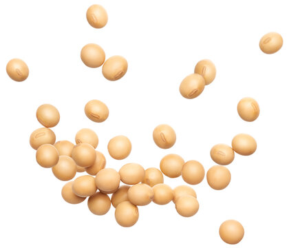 Soybeans splash isolated