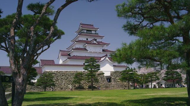 鶴ケ城（会津若松城）の松