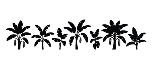 A row of tropical banana plants depicted in black silhouette © MDHASAN