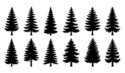 Obraz premium Majestic Pine Tree Silhouette Set with Natural Evergreen Forest Shapes in Clean Black Vector Style