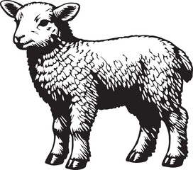 Black and White Lamb Illustration Standing Isolated on White Background Farm Animal © toomotion