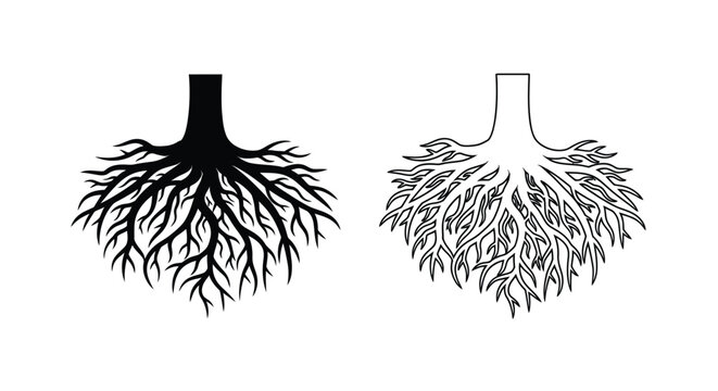 Illustration of two tree root systems in contrasting styles