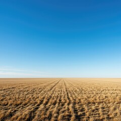 Fototapeta premium A stunning natural scene featuring a wide, open horizon where the bright blue sky meets the peaceful, distant landscape boundary line, endless, wide, simple
