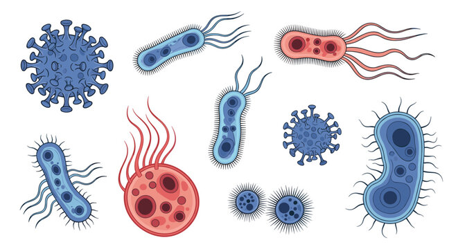 Collection of different colorful bacteria and viruses showcases diverse microscopic pathogens and microorganisms on white.