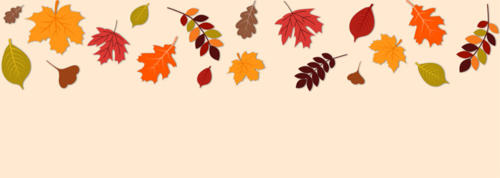 Autumn leaves fallen