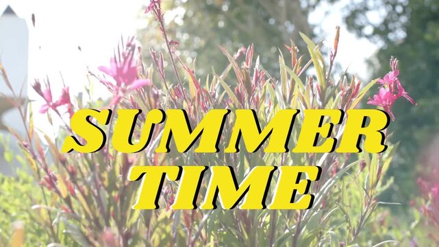 Swaying pink flowers shifting focus from breeze and lens shift in yard, yellow SUMMER TIME overlay