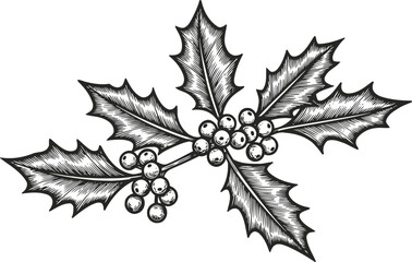 Fototapeta premium Black and white holly branch with leaves and berries vintage christmas plant sketch illustration