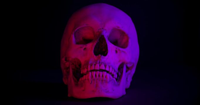 Human Skull with Color Lights . Video of motionless human skull with dramatic color-changing color lights on black background.