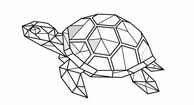 Geometric turtle illustration in black lines.