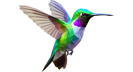 Obraz premium Hummingbird in flight with colorful feathers.