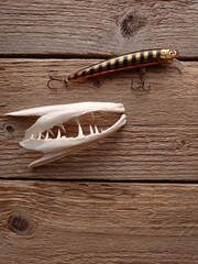 Close up of a fishing lure and authentic jawbones of a pike on a wooden table.