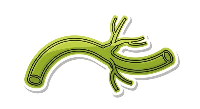 Green bronchial tube anatomy illustration.