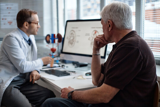 Middle aged Caucasian male urologist explaining kidney anatomy to senior man using anatomical model and computer monitor displaying medical diagrams in clinical office setting