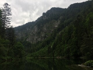Fototapeta premium Moody view of forested Austrian lake with overcast sky for landscape photography