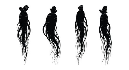Four ginseng roots depicted in a striking black silhouette © Nazrul