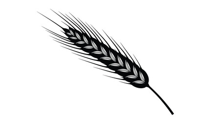 A striking black silhouette of a wheat stalk against white background © Nazrul