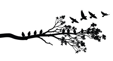 Birds perched on a branch taking flight a striking silhouette © Nazrul