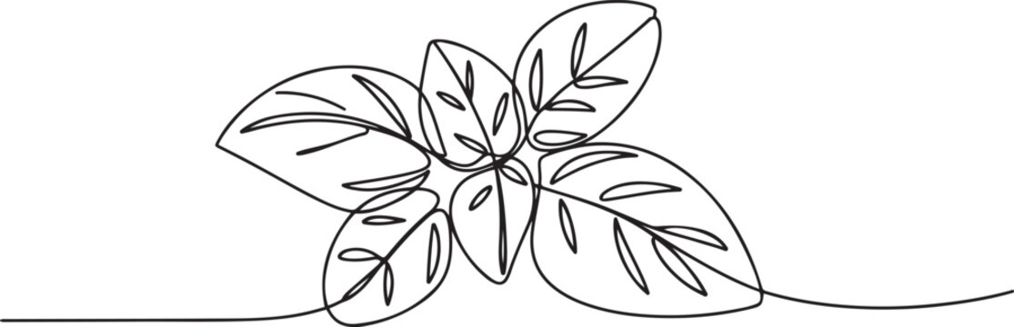Continuous line, basil leaves line art vector illustration. one line Icon drawing