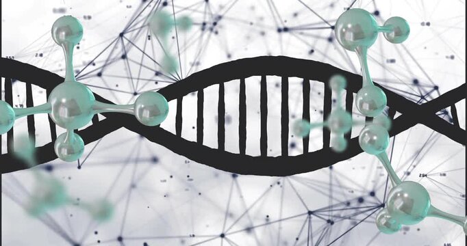 Entering teal molecules causing black DNA helix shifting against gray network, revealing labels