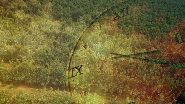 Warm light shift starting antique clock overlay rotating clockwise over canopy, hands sweeping time