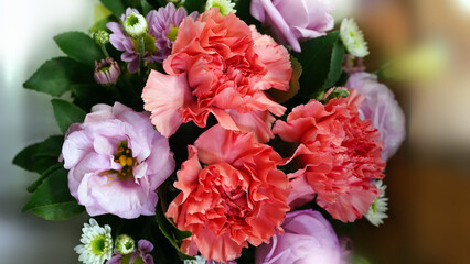 Obraz premium Beautiful Carnation Bouquet for Mother’s Day Celebration
